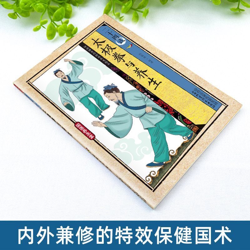 24 Stili di Tai Chi ed Eserciz - Health & Wellness Therapy Center recensione e prezzo
